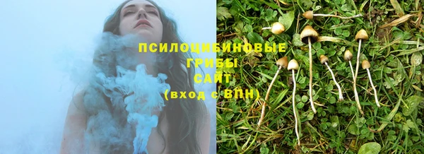 эйфоретик Белокуриха