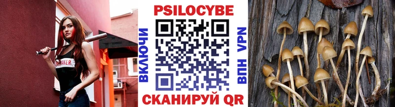 mega tor  Торопец  Галлюциногенные грибы ЛСД 
